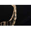 1 - Light LED Chandelier