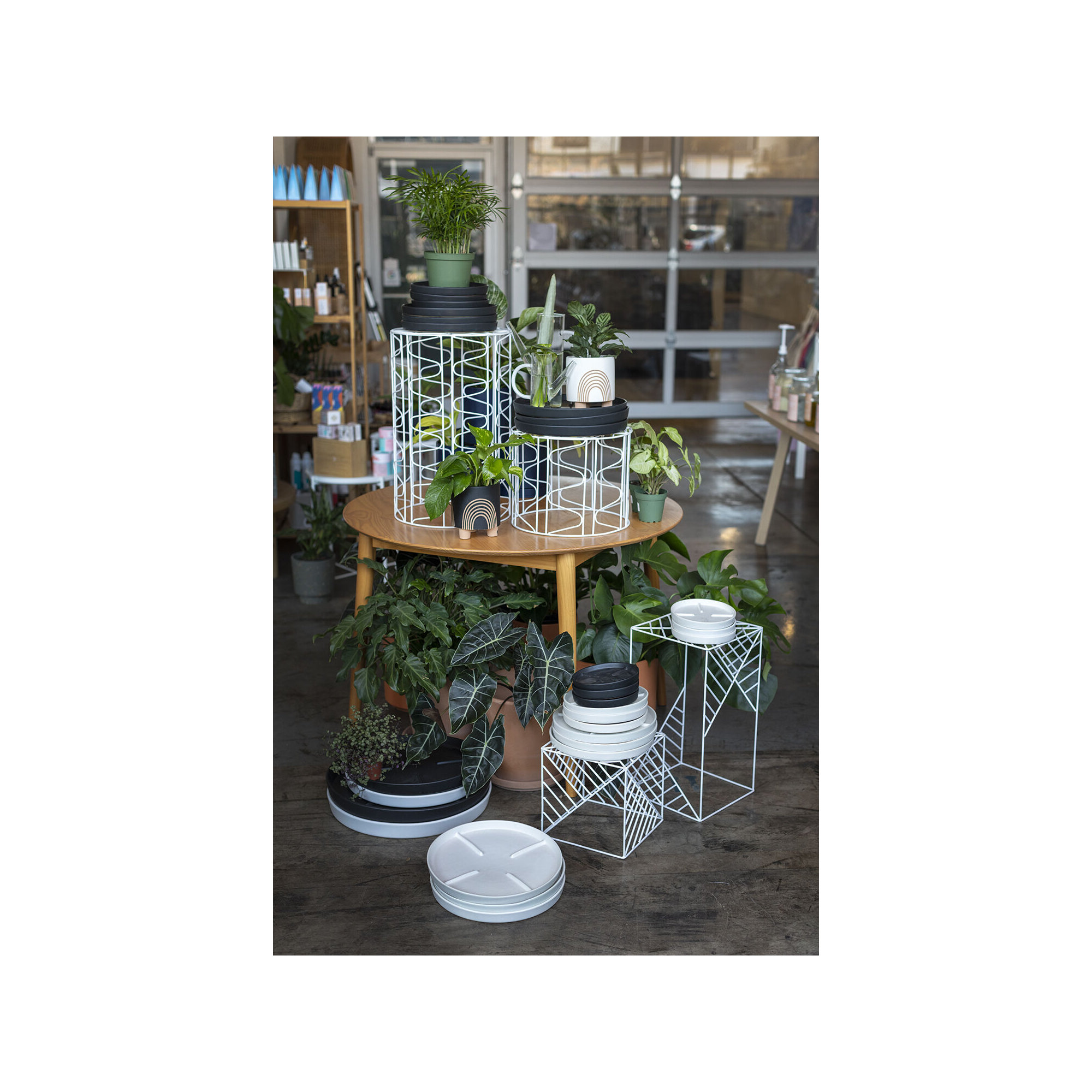 Noha Saucer Plant Stand, White, 1.5" H x 14.75" W x 14.75" D