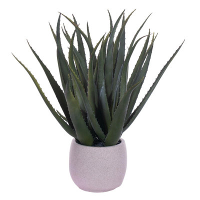 19.5 Plant