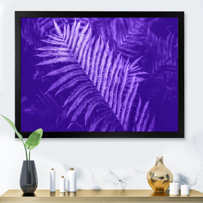 Macro de fougère ultra violet, feuilles de buisson mauve - photographie sur toile