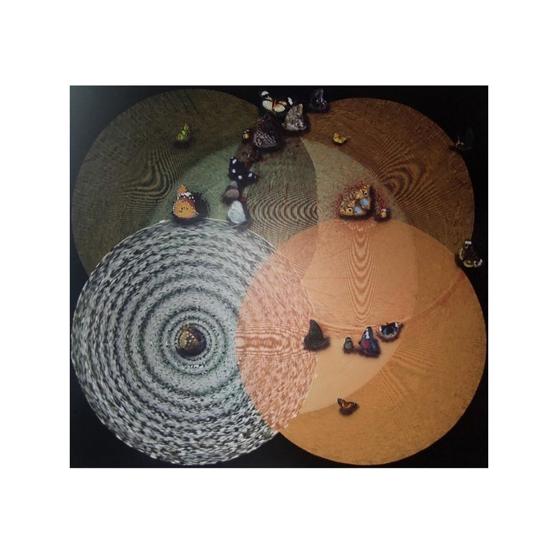 Happy Vibration Acrylic Art Painting by Ghanshyam Gupta – 64"x70" Abstract Acrylic on Canvas, Colorful Intersecting Circles with Butterflies, Contemporary Spiritual Wall Décor