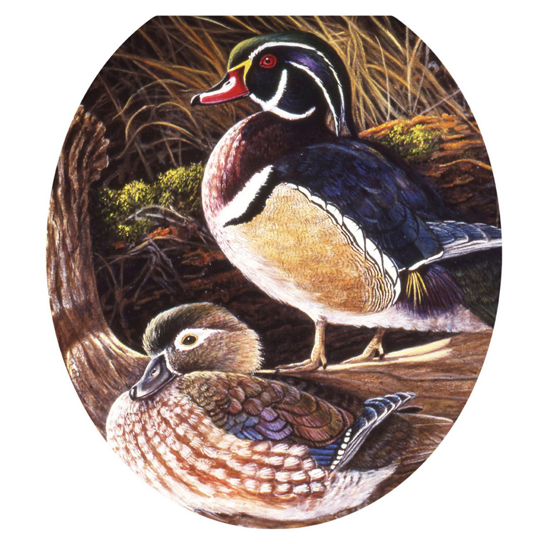 Rustic Wood Ducks Toilet Seat Decal – Toilet Tattoos Lodge Static Cling Vinyl Lid Cover Fits Round & Elongated Seats Toilet Tattoos 