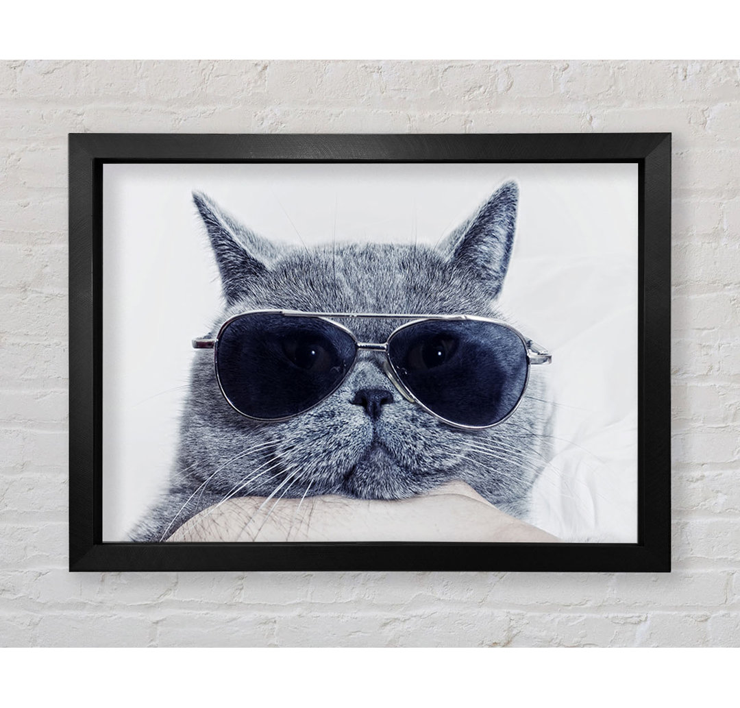 Kitty Cat Cool - Einzelne Bilderrahmen Kunstdrucke