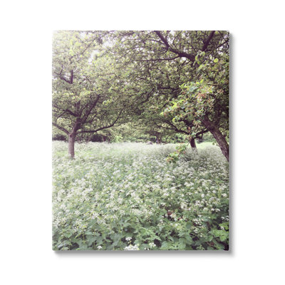 " Lush Meadow Trees " Print