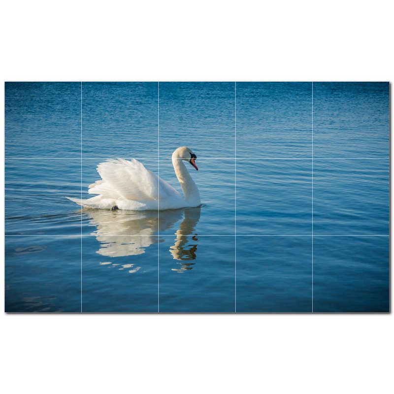 Photo d'oiseau 12 x 12