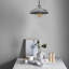 1 - Light Single Pendant-16479993