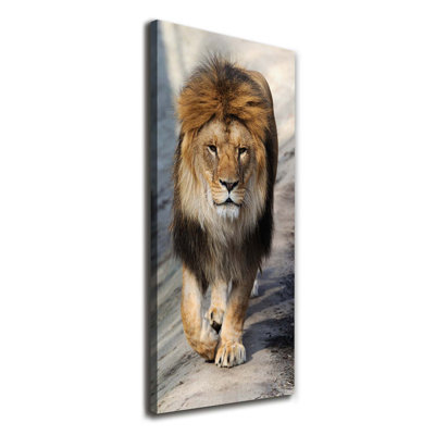 Lion - Wrapped Canvas Print