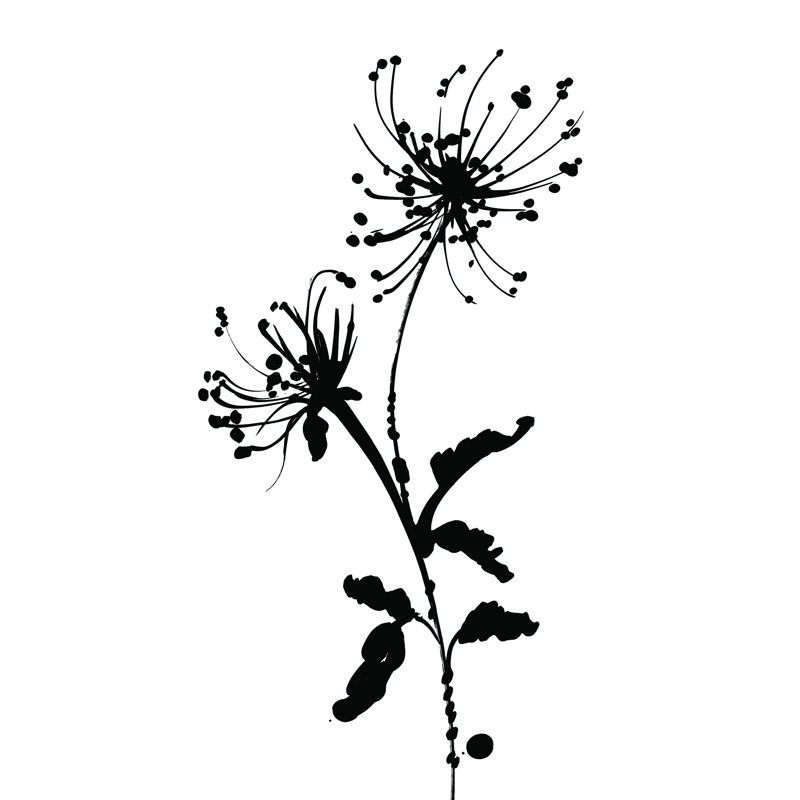 Silhouette florale IV, H 30 po x l 20 po