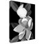 Art mural sur toile tendue - Susan S. Barmon «White Magnolia Black and White» pour décoration de salon, de chambre à coucher ou de bureau - 24 x 32-29225530