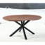 Table basse à conception extensible, plateau et pieds en métal, 120/160 / 200X120x75cm, couleur noyer, option d'assemblage, palette de couleurs, processus facile