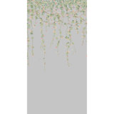 Cole & Son Selection Of Hummingbirds Floral Wallpaper