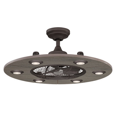 Clairene 12'' Ceiling Fan with LED Lights