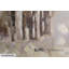 Path of the Elephants Acrylic Painting