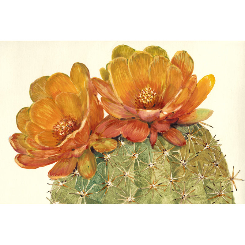 Fleurs de cactus II, H 12 po x l 18 po x l 1 po