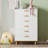 Cedarpoint Accent Chest