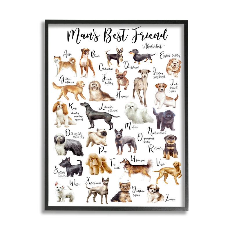 «Man's Best Friend» par Ziwei Li, Giclée encadrée noir minuit, H 20 po x l 16 po