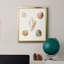 Toile encadrée Pastel Knorr Shells-350724587-350724596