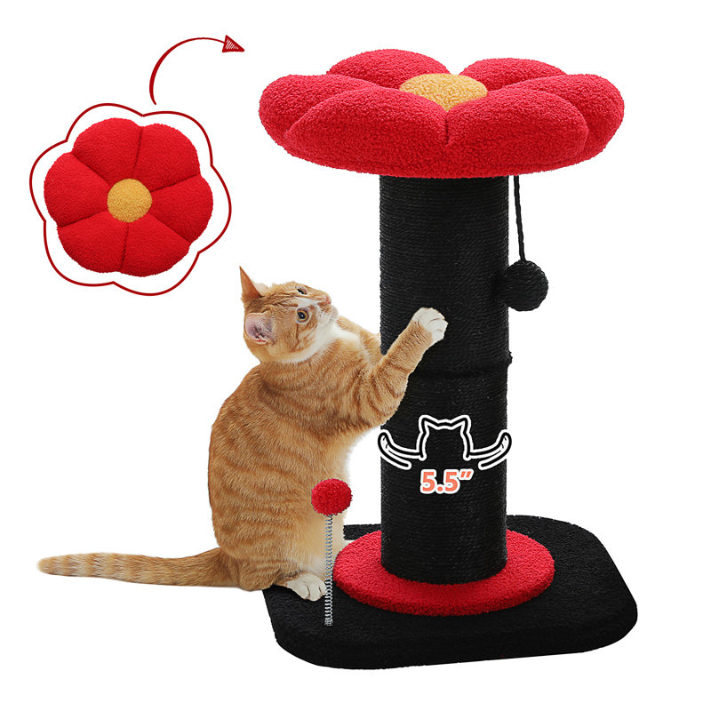 Grattoir à fleurs, petit arbre à chat, griffoir pour chats d'intérieur avec poteau à griffes très épais [Dia = 5,5 po], lit à fleurs amovible, grattoir à chat avec boule de printemps