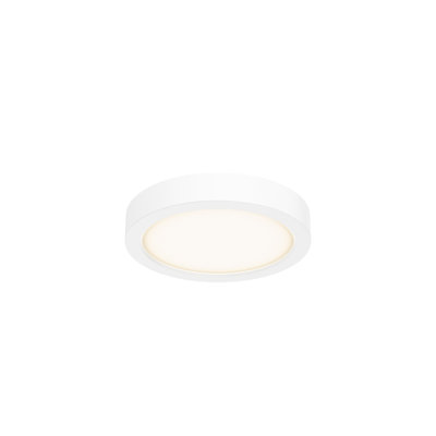 Hayden-Blu Acrylic LED Flush Mount