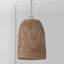 Luminaire suspendu en pot 1 lumière Hasley-1568172016