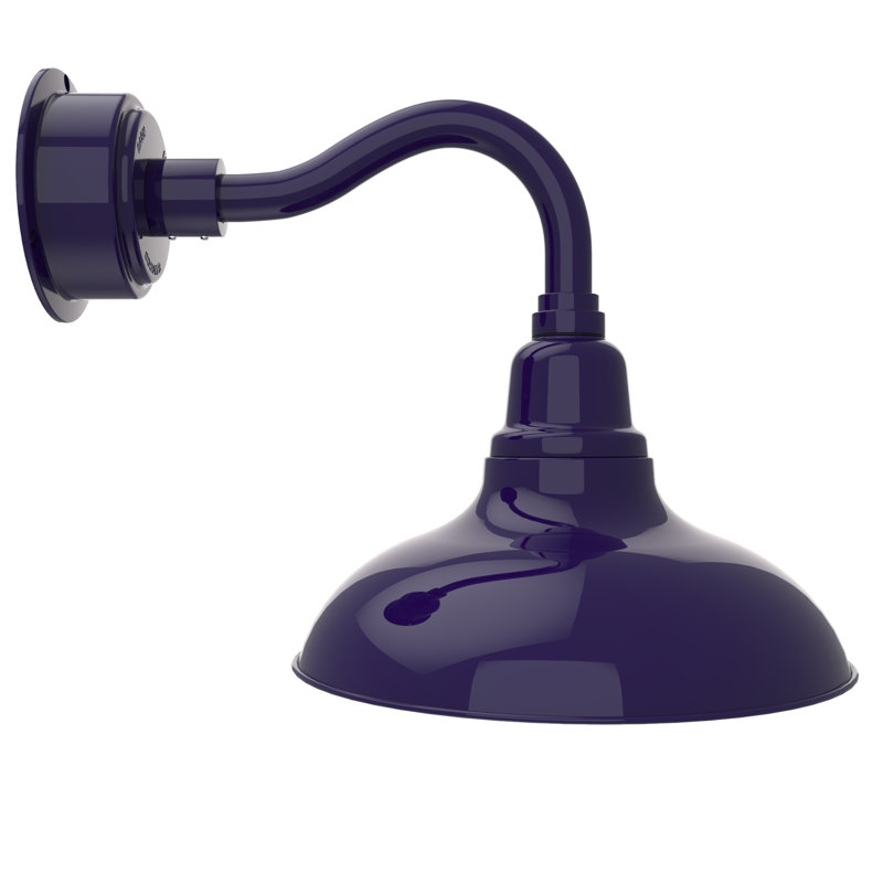 Luminaire de grange 1 lumière DEL Idella, Bleu de cobalt, H 14 po x l 12 po x P 18 po