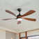 Damecia 52'' Modern Ceiling Fan with LED Light and Remote Control