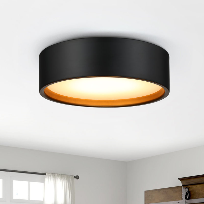 14" Metal LED Flush Mount Ceiling Light for Foyer Hallway Entryway and Outdoor, Matte Black/Gold