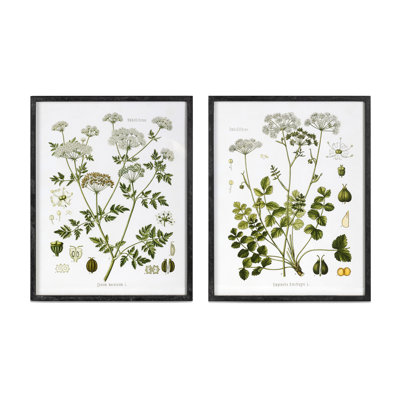 Summer Wildflower Framed Prints