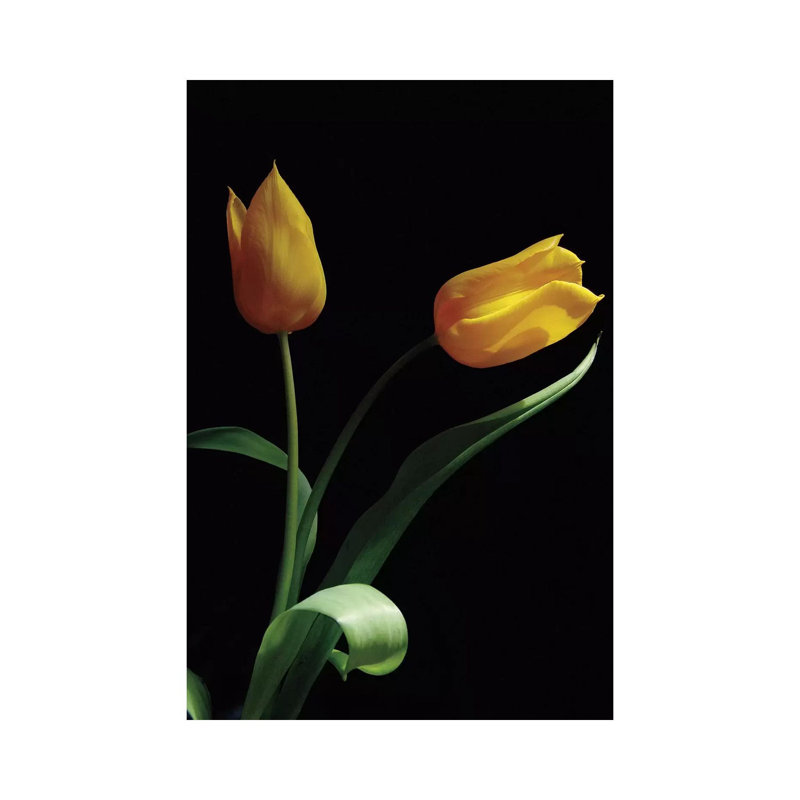 Trust 1 Piece Wrapped Canvas Wall Art, 20.32 cm H x 30.48 cm W