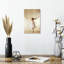 Pose de ballet classique-1683166221
