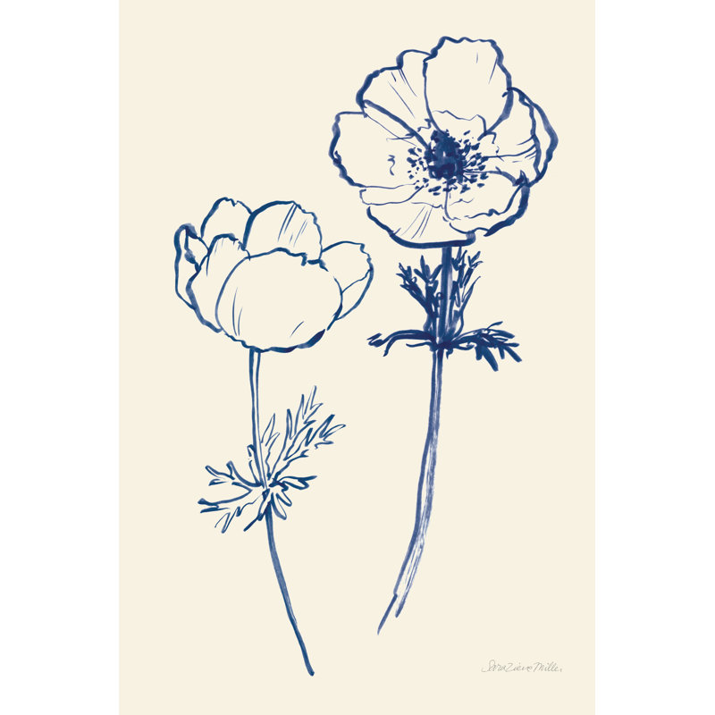 Ink Anemones II by Sara Zieve Miller - Wrapped Canvas Print, 30cm H x 46cm W x 3.8cm D