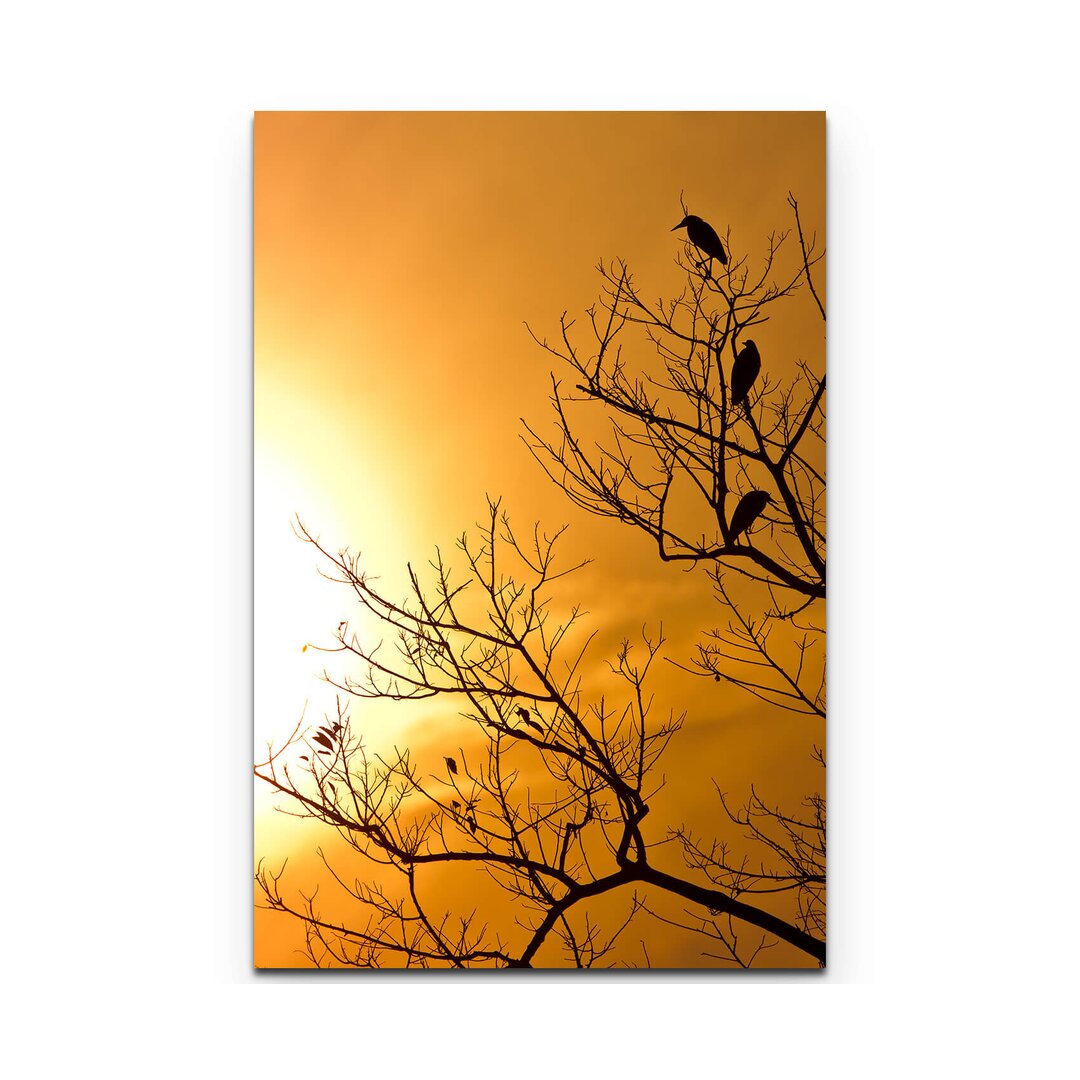 Leinwandbild Baum im Sonnenuntergang