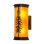 Tall Pines 2 - Light Flush Mounted Sconce