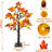 24" Fall Lighted Maple Tree Thanksgiving Halloween Decoration Tabletop Fall Tree