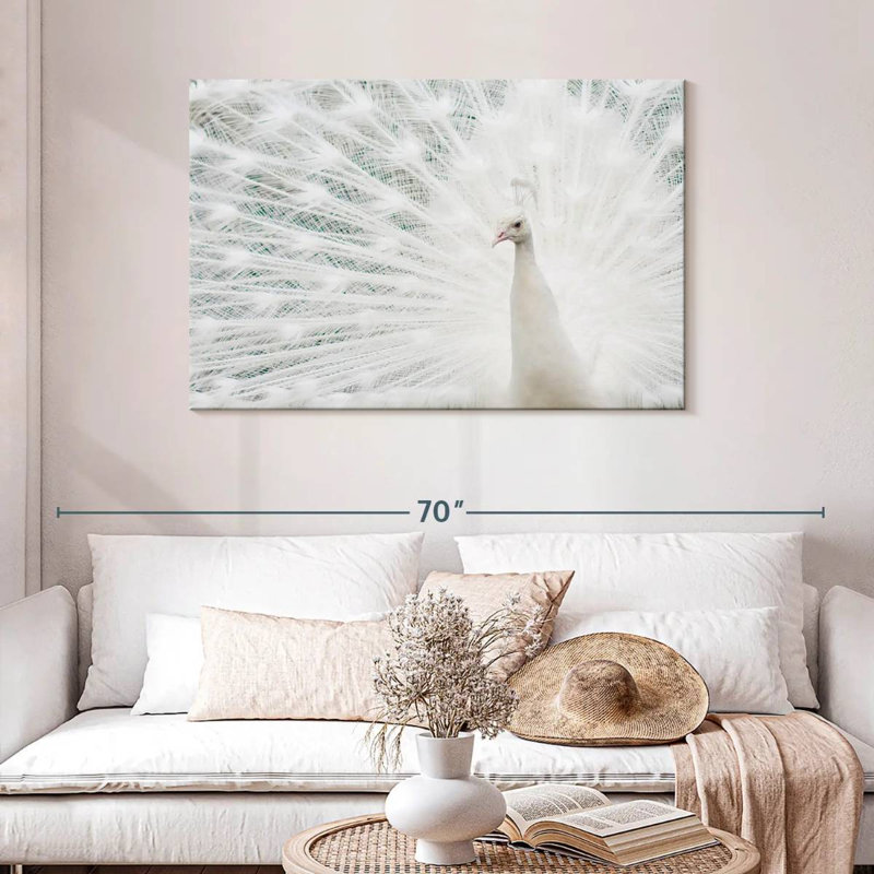 Plume de paon blanc neige Brampt, H 30 po x l 45 po