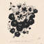 Drawing Of Nasturtiums Print by Henri Verstijnen
