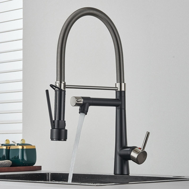 Belfry Kitchen Keneisha Pull Down Kitchen Faucet