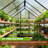 6x10 Ft Growhaus Greenhouse For Outdoors, Polycarbonate Green House With Rain Gutter And Adjustable Roof Vent, Aluminum Large Walk-in Greenhouse With Quick Setup Structure For Garden Backyard Outside Patio