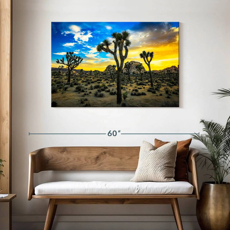 Nicci Joshua Tree Park, H 30 po x l 45 po