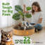Lit rond à griffer pour chat, salon à griffes en carton, bol à chat réversible pour chats d'intérieur, planche à gratter durable pour chat, coussin de chaise à griffer pour chat, protecteur de meuble
