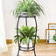 Support pour plante Reisterstown