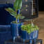 Pisa Navy Planter Blue H24CM D20CM