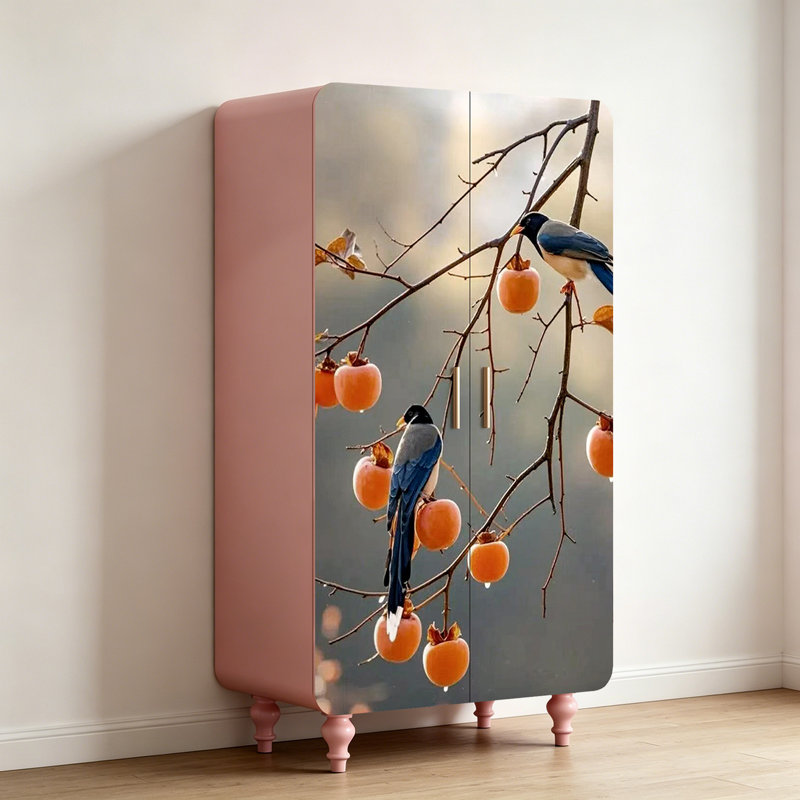 Garde-robe française simple moderne à deux portes