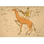 Camelopardalis Print by Grand Archives-1105086919-1105086918