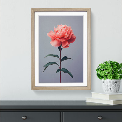 XYZ-FRM-V1223-5078 Peony Flower Minimalism - Single Picture Frame Print on Wood