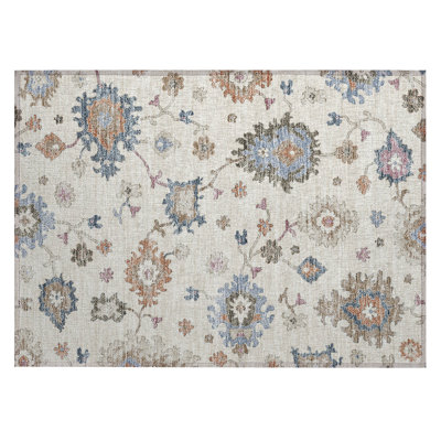 Machine Washable Indoor/Outdoor Segin ACN1218 Rug
