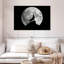 Lune et loup-107669020