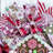 20'' Wreath