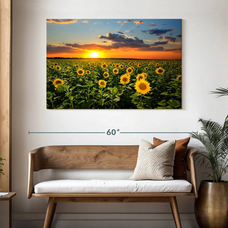 Tournesols en fleurs d'Alvord