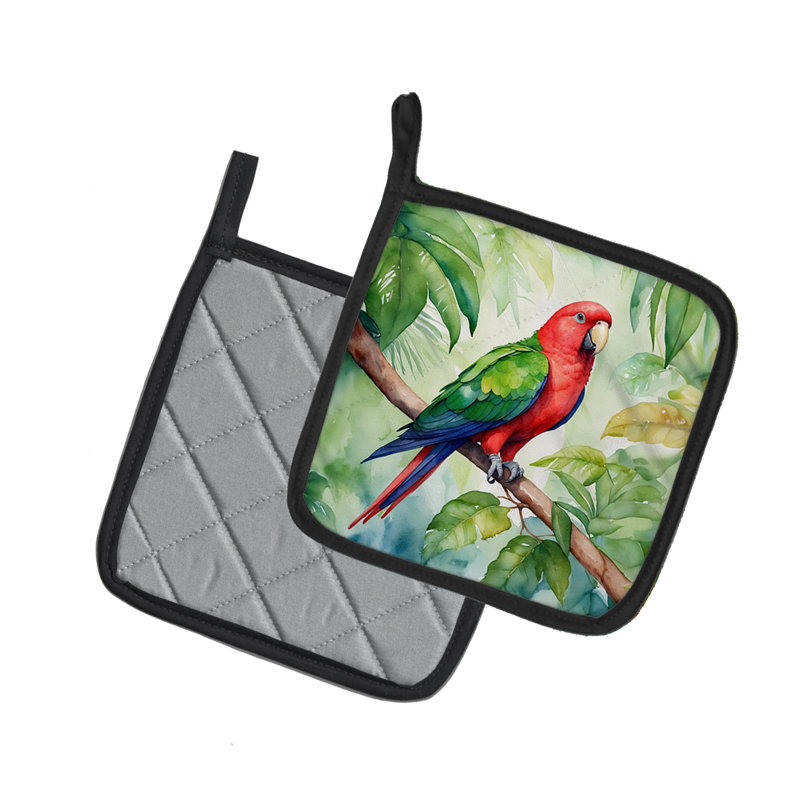 Paire de poignées Eclectus Parrot